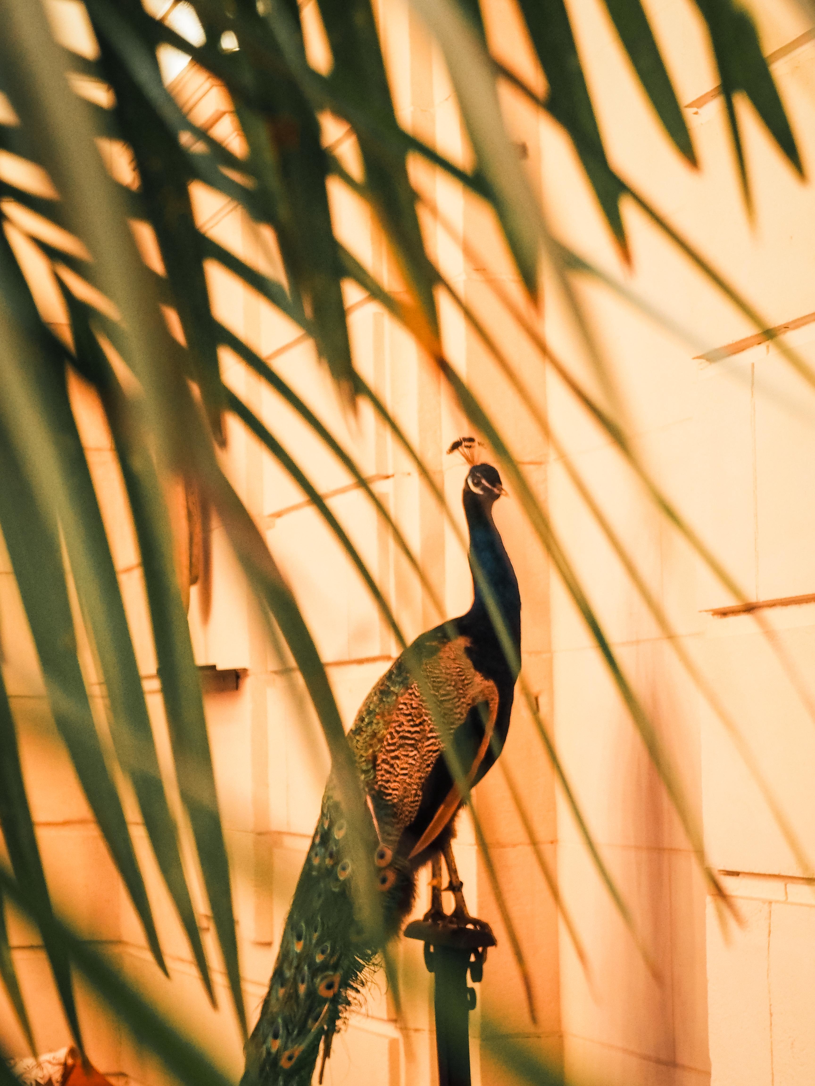 Hotel La Zoologie & Spa Bordeaux Eksteriør billede